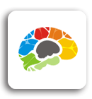 Bigger Brains Online Training